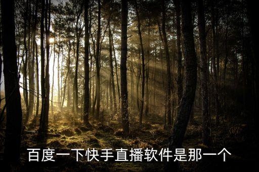 百度一下快手直播軟件是那一個