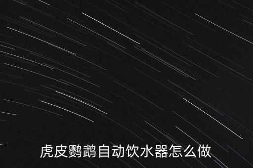 虎皮鸚鵡自動(dòng)飲水器怎么做