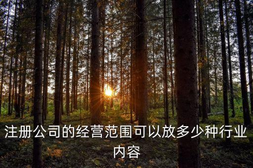 注冊(cè)公司的經(jīng)營范圍可以放多少種行業(yè)內(nèi)容