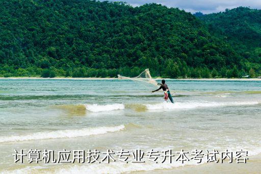 計(jì)算機(jī)應(yīng)用技術(shù)專業(yè)專升本考試內(nèi)容