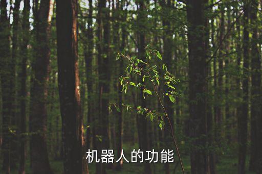 機器人的功能