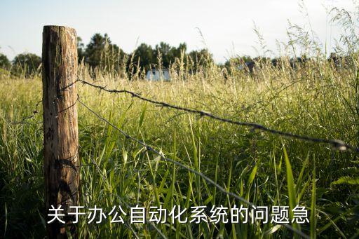 關于辦公自動化系統(tǒng)的問題急