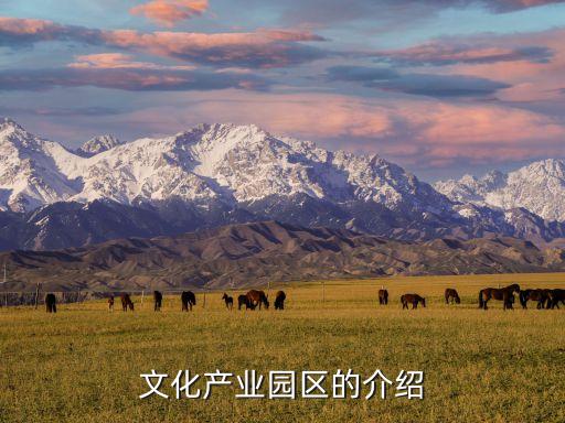 文化產(chǎn)業(yè)園區(qū)的介紹