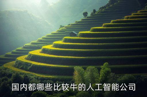 國(guó)內(nèi)都哪些比較牛的人工智能公司