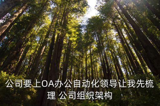 公司要上OA辦公自動化領(lǐng)導(dǎo)讓我先梳理 公司組織架構(gòu)