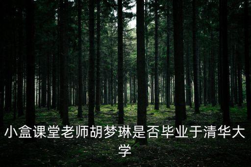 小盒課堂哪個(gè)數(shù)學(xué)老師好，小盒課堂老師胡夢(mèng)琳是否畢業(yè)于清華大學(xué)
