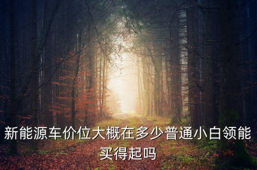 新能源車價(jià)位大概在多少普通小白領(lǐng)能買得起嗎