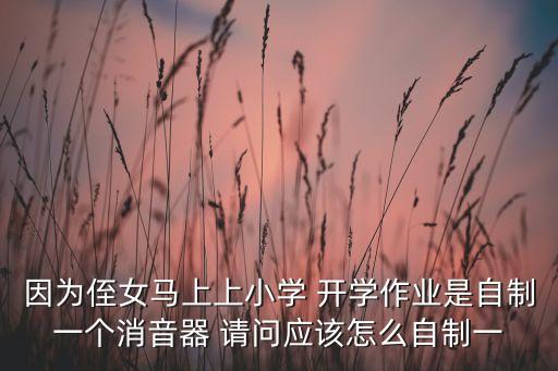 因?yàn)橹杜R上上小學(xué) 開學(xué)作業(yè)是自制一個消音器 請問應(yīng)該怎么自制一