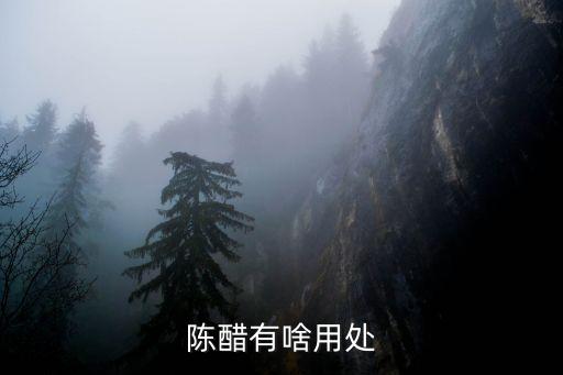 陳醋有啥用處