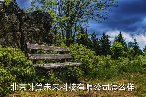未來技術(shù)有限公司，合肥未來計算機技術(shù)開發(fā)有限公司怎么樣