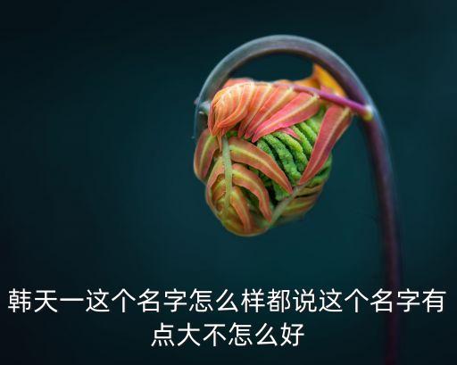 天一名字好嗎，韓天一這個名字怎么樣都說這個名字有點大不怎么好