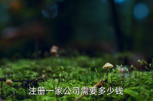 注冊一家有限公司需要多少錢，注冊一家公司需要多少錢