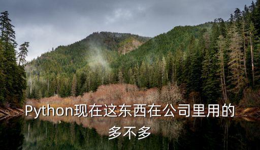 Python現(xiàn)在這東西在公司里用的多不多