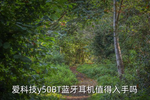 愛科技藍(lán)牙耳機(jī)，愛科技AKG耳機(jī)AKG Y500是藍(lán)牙耳機(jī)嗎