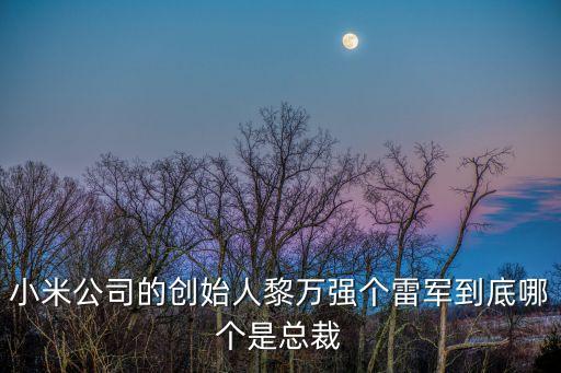 小米公司的創(chuàng)始人黎萬(wàn)強(qiáng)個(gè)雷軍到底哪個(gè)是總裁