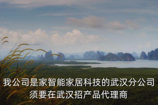 我公司是家智能家居科技的武漢分公司須要在武漢招產(chǎn)品代理商