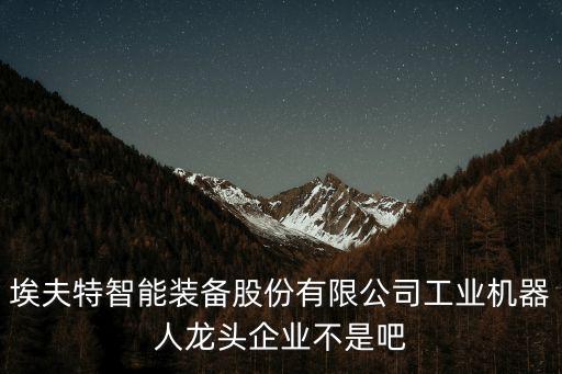 埃夫特智能裝備股份有限公司工業(yè)機(jī)器人龍頭企業(yè)不是吧