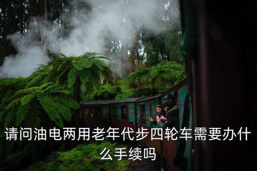 金寶來油電兩用四輪車，請問油電兩用的電動四輪車和純電動四輪車哪種更好
