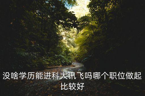 沒(méi)啥學(xué)歷能進(jìn)科大訊飛嗎哪個(gè)職位做起比較好