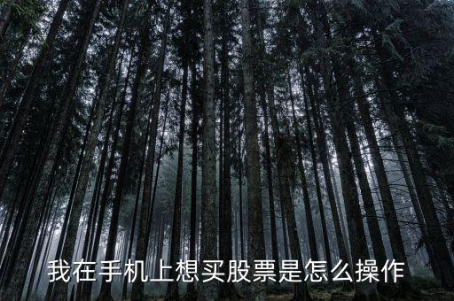 手機上怎么買股票，我在手機上想買股票是怎么操作