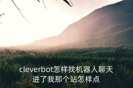 cleverbot怎樣找機器人聊天進了我那個站怎樣點