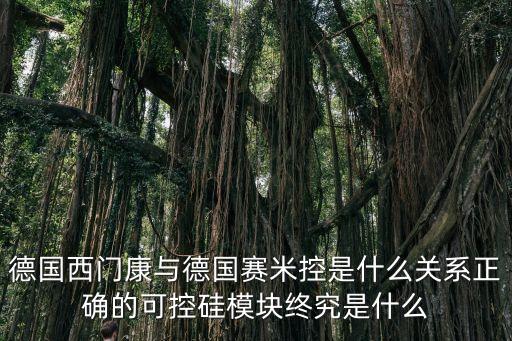 德國西門康與德國賽米控是什么關(guān)系正確的可控硅模塊終究是什么
