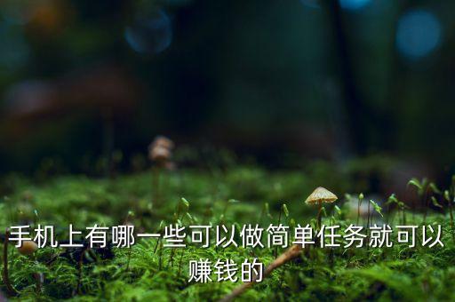 手機(jī)上有哪一些可以做簡(jiǎn)單任務(wù)就可以賺錢的