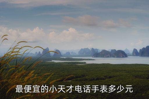 最便宜的小天才電話手表多少元