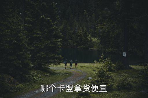 哪個(gè)卡盟拿貨便宜