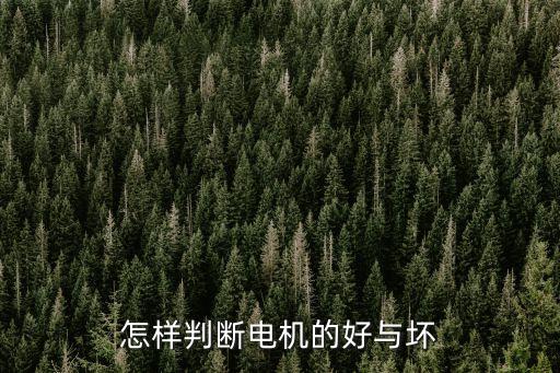 怎樣判斷電機(jī)的好與壞