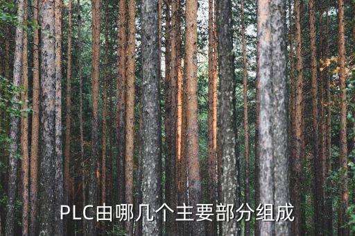 PLC由哪幾個(gè)主要部分組成