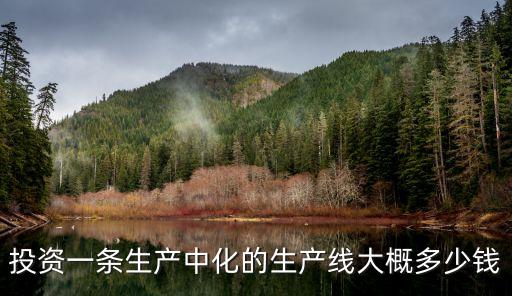 投資一條生產(chǎn)中化的生產(chǎn)線大概多少錢