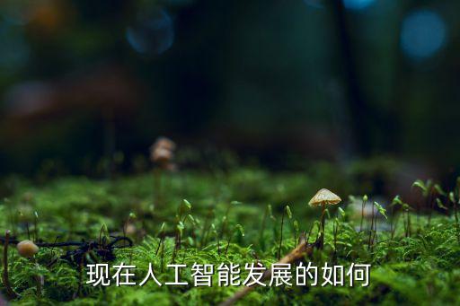 現(xiàn)在人工智能發(fā)展的如何