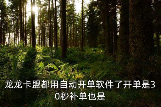 龍龍卡盟都用自動開單軟件了開單是30秒補單也是
