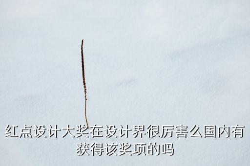 紅點(diǎn)設(shè)計(jì)大獎(jiǎng)在設(shè)計(jì)界很厲害么國(guó)內(nèi)有獲得該獎(jiǎng)項(xiàng)的嗎