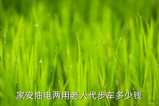 家安油電兩用老人代步車多少錢
