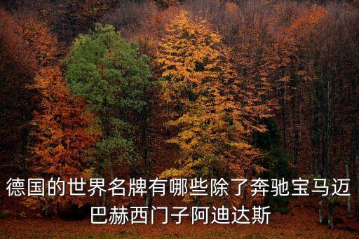 德國(guó)的世界名牌有哪些除了奔馳寶馬邁巴赫西門(mén)子阿迪達(dá)斯