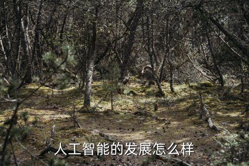 人工智能算法的可解釋性，人工智能是智能算法的實(shí)現(xiàn)其核心內(nèi)容在于什么