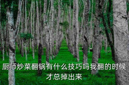 炒菜怎樣翻鍋有什么技巧家中，廚房翻鍋有什么技巧