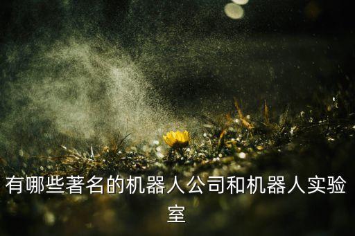 有哪些著名的機(jī)器人公司和機(jī)器人實(shí)驗(yàn)室