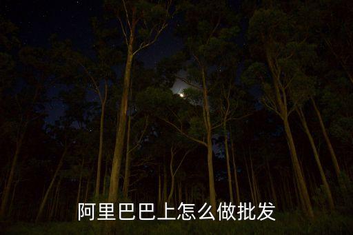 阿里巴巴上怎么做批發(fā)