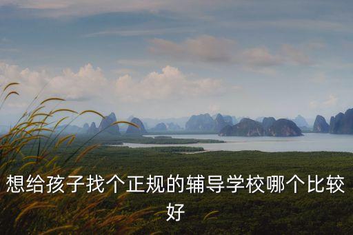 想給孩子找個(gè)正規(guī)的輔導(dǎo)學(xué)校哪個(gè)比較好