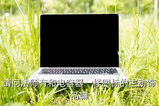 請問法師有和電容器一樣圖標(biāo)的主動飾品嘛