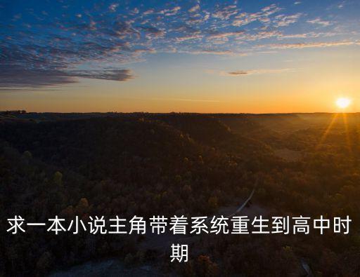求一本小說(shuō)主角帶著系統(tǒng)重生到高中時(shí)期