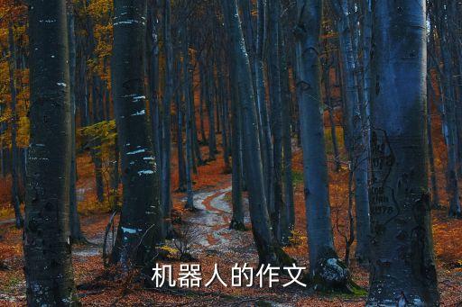 機(jī)器人的作文