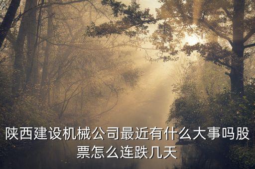 陜西建設(shè)機(jī)械公司最近有什么大事嗎股票怎么連跌幾天