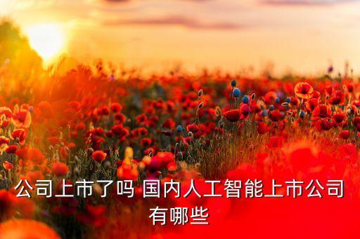 中國人工智能公司數(shù)量，國內(nèi)有那些做工業(yè)人工智能公司