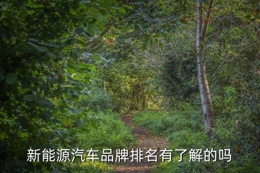 新能源汽車前十排名，新能源汽車品牌排名有了解的嗎