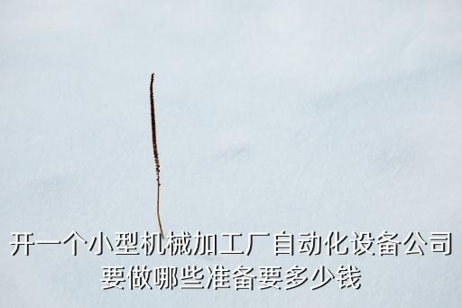 開一個小型機械加工廠自動化設(shè)備公司要做哪些準備要多少錢