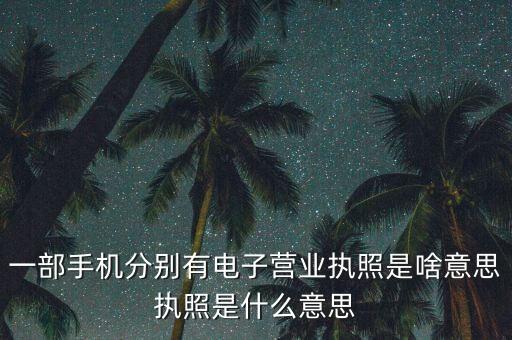 一部手機分別有電子營業(yè)執(zhí)照是啥意思執(zhí)照是什么意思